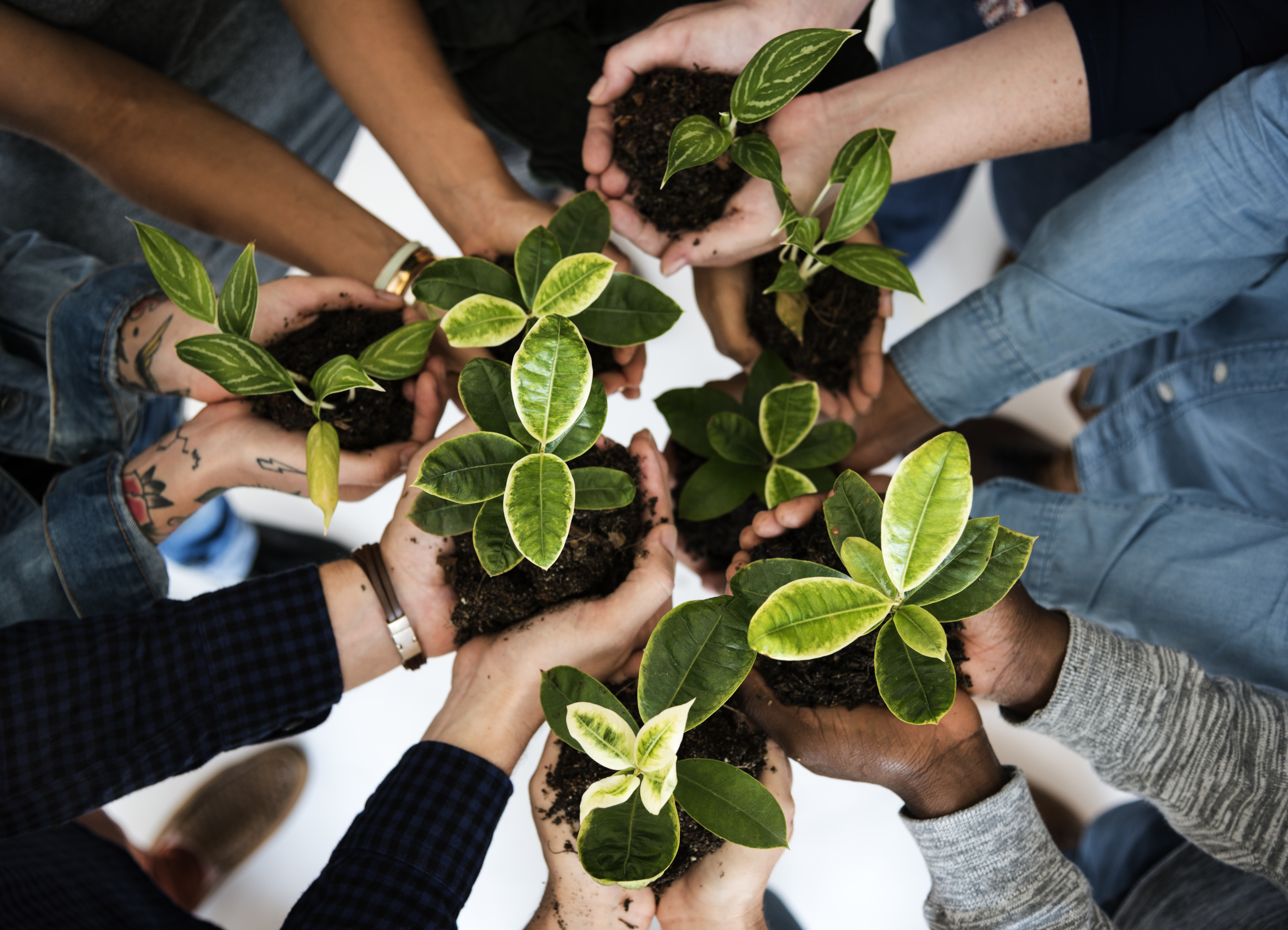 Advancing the Organic Advantage: The Work of OTA’s Sustainability Council  thumbnail