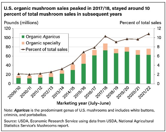 Bar chart showing U.S. organic mushroom sales in millions of pounds and percent of total sales between marketing years 2009 and 2022
