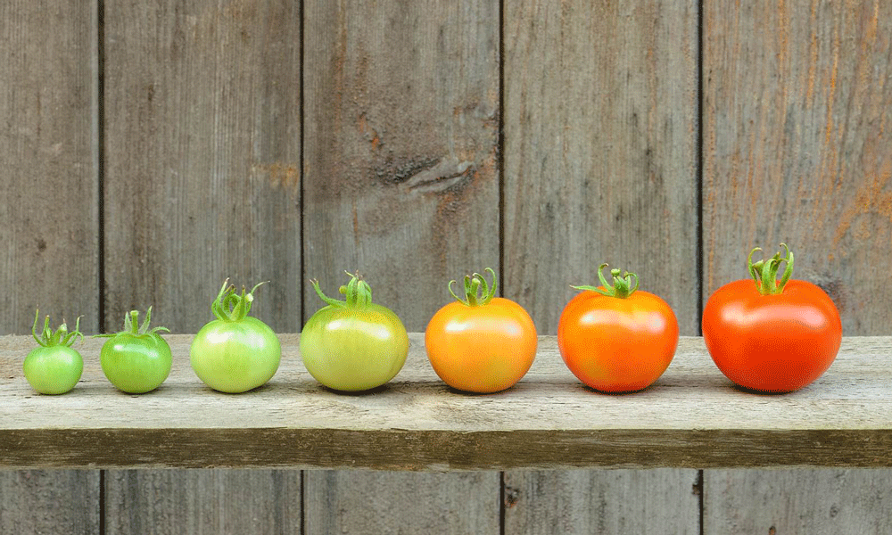 Publicly support the Organic Check-Off