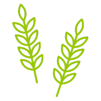 Plant branch