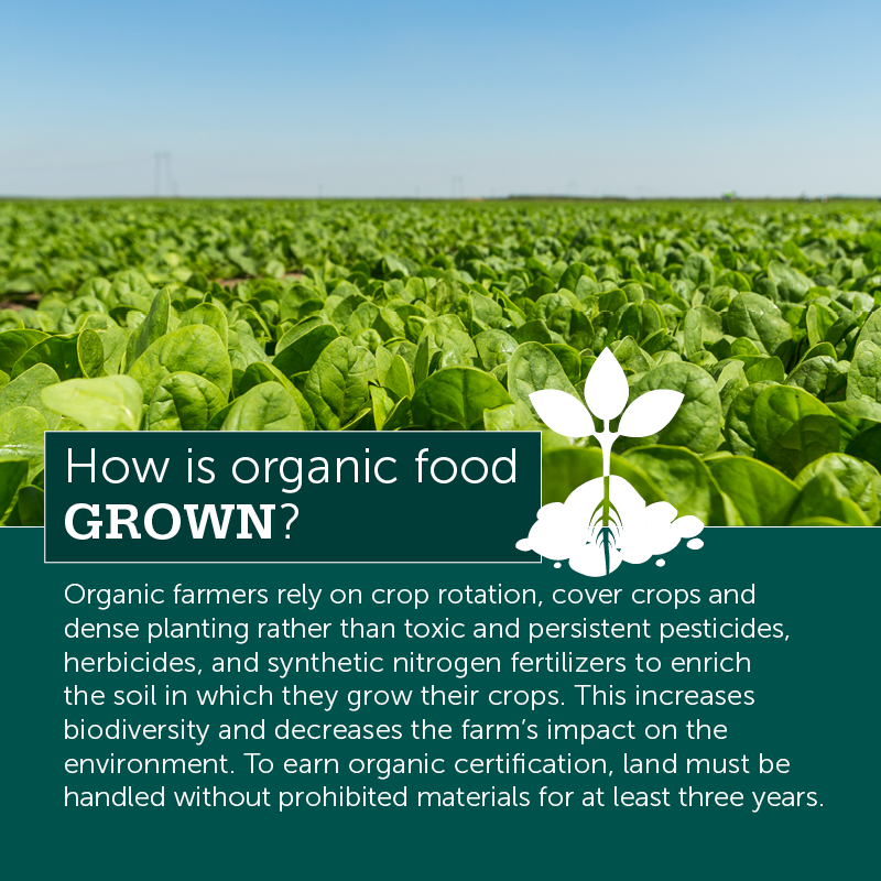 how is organic food grown? image