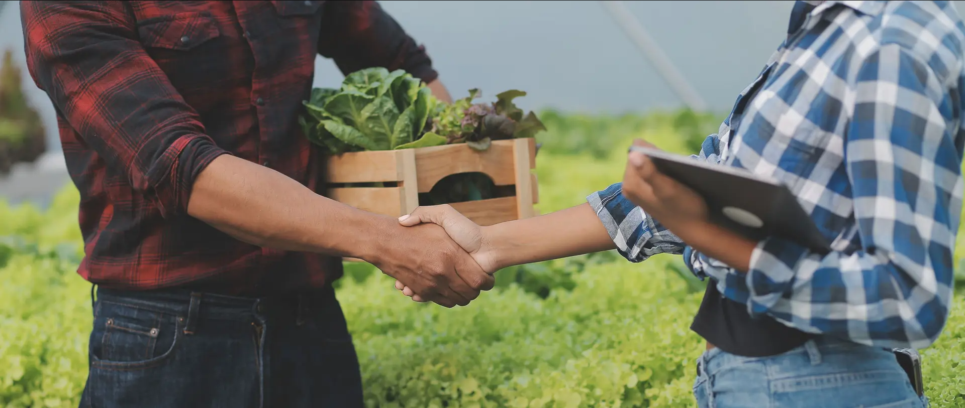 farmers shaking hands on the field