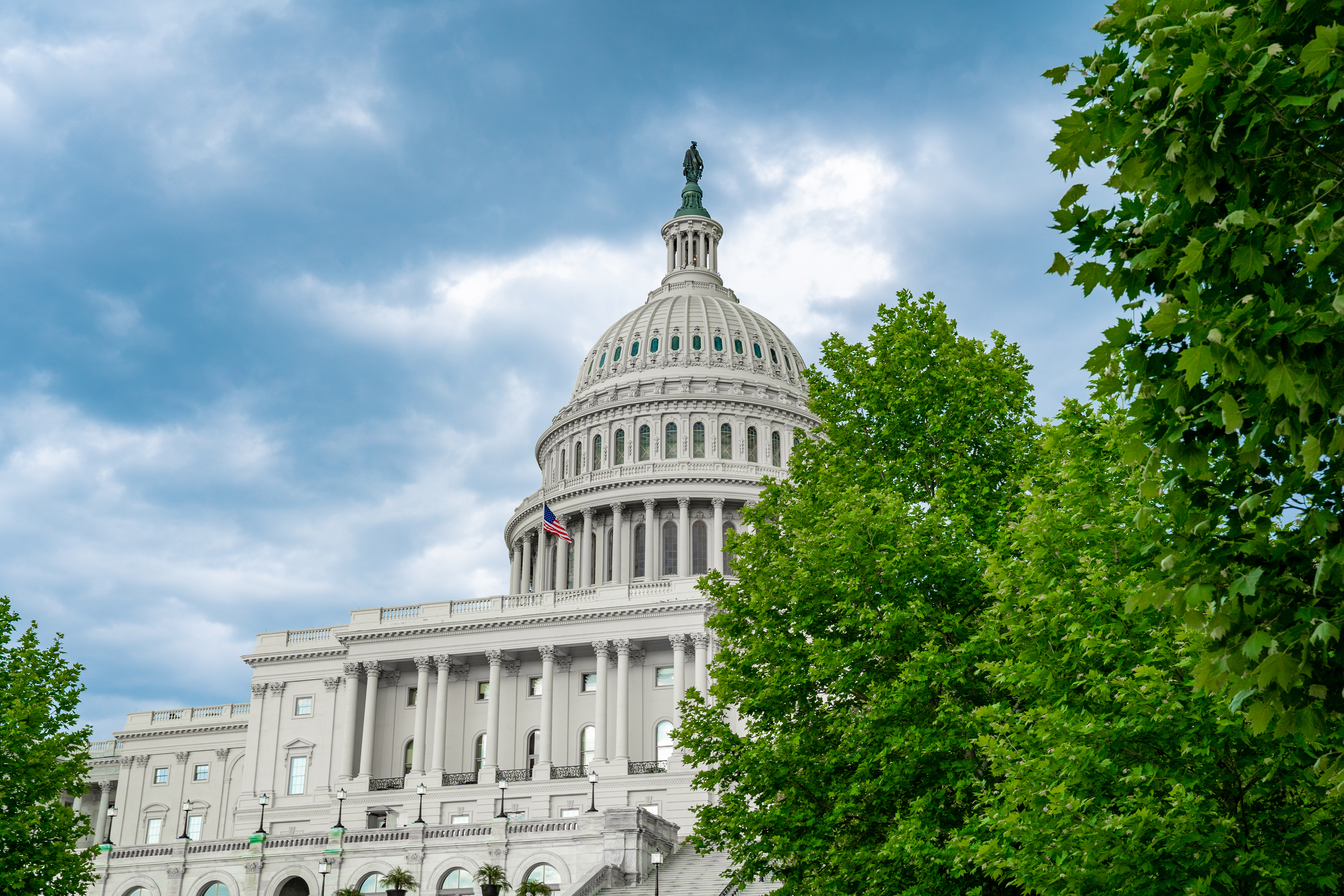 U.S. Capitol building in the background with tress in the forefront