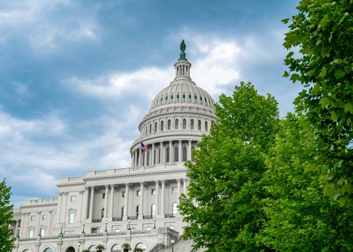 U.S. Capitol building in the background with tress in the forefront