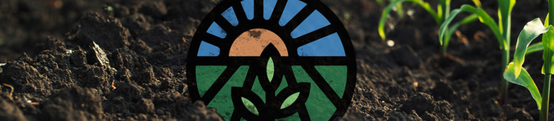 Cover image for the page