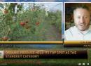 VIDEO: RFD-TV | U.S. Organic Sales Soar to $71.6 Billion | OTA co-CEO Tom Chapman Breaks Down the Growth thumbnail