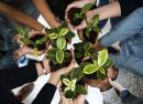 Advancing the Organic Advantage: The Work of OTA’s Sustainability Council  thumbnail