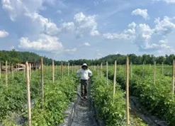 When We Invest in Organic Research, Everyone Wins  thumbnail