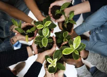 Advancing the Organic Advantage: The Work of OTA’s Sustainability Council  thumbnail