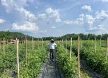When We Invest in Organic Research, Everyone Wins  thumbnail