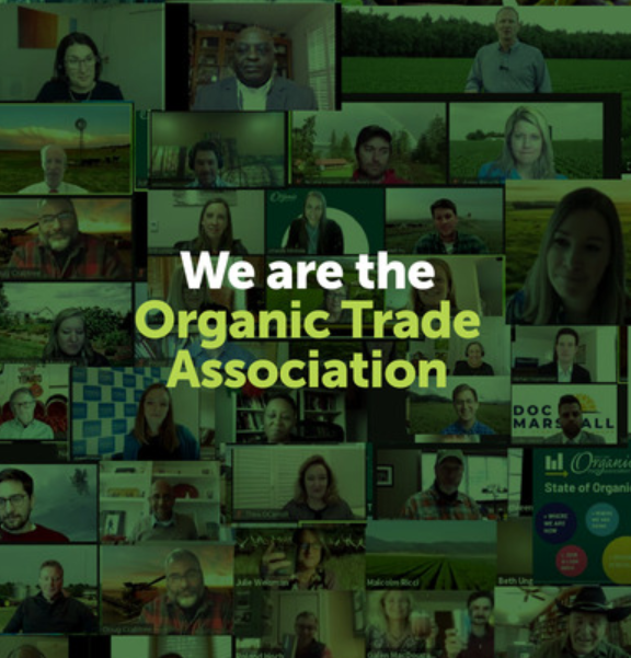 Global Organic Textile Standard- GOTS Certification
